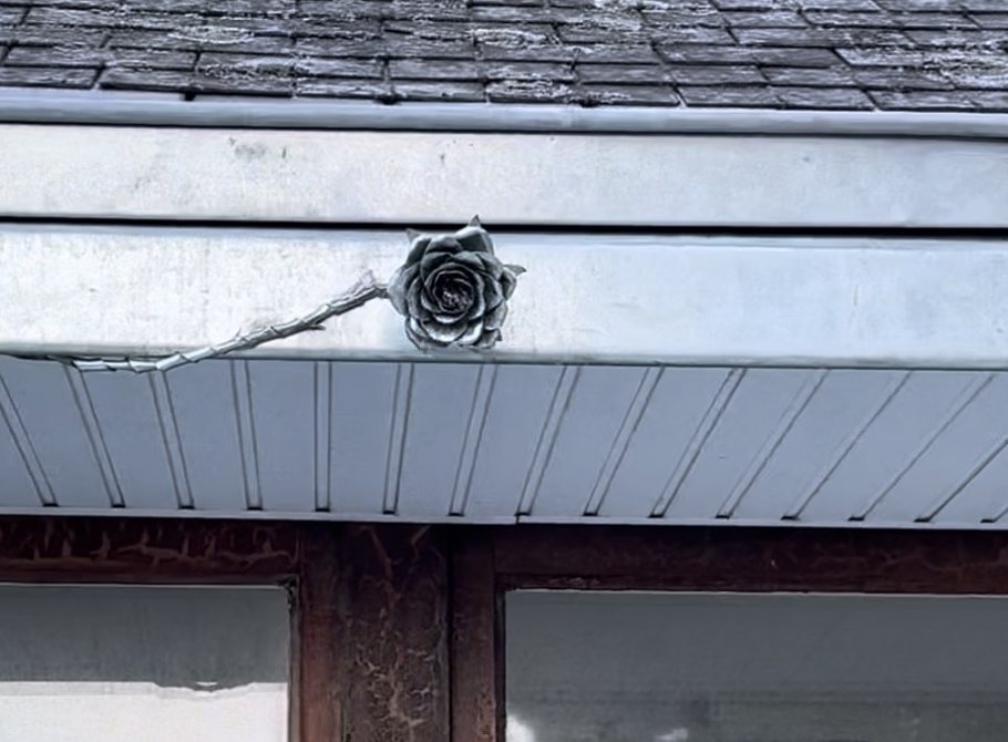 Rose en zinc sur le membron d'une villa de Saint-Lunaire, sous le brisis en ardoise, au-dessus d'une fenêtre