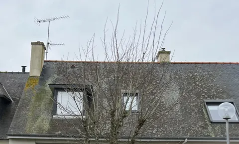 Toiture en ardoise couverte de mousses et de lichens, coulures vertes sous la souche de cheminée