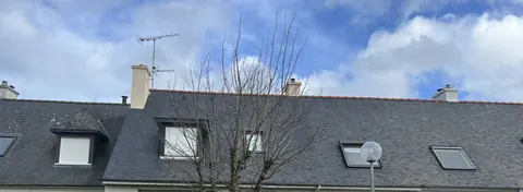 Toiture en ardoise après nettoyage au Wash'Guard Express, à côté d'un toit voisin non traité