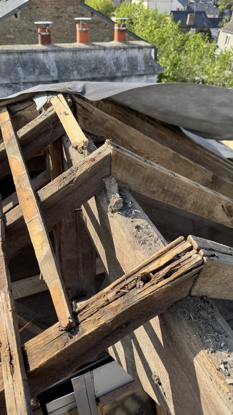 Charpente ancienne mise à nu après dépose de la couverture, chevron vermoulu au premier plan, souche et vue sur Saint-Malo
