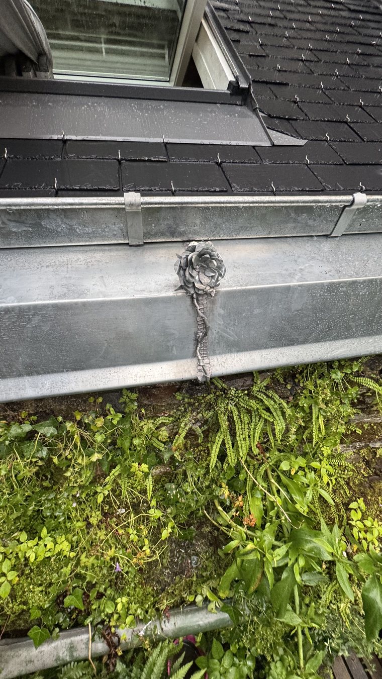 Rose en zinc soudée sur le bandeau, sous la fenêtre de toit et la couverture ardoise neuve